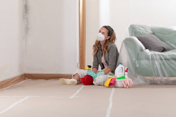 Reliable Attic Mold Removal contractor in Cottage Grove, OR by WQB Mold Removal